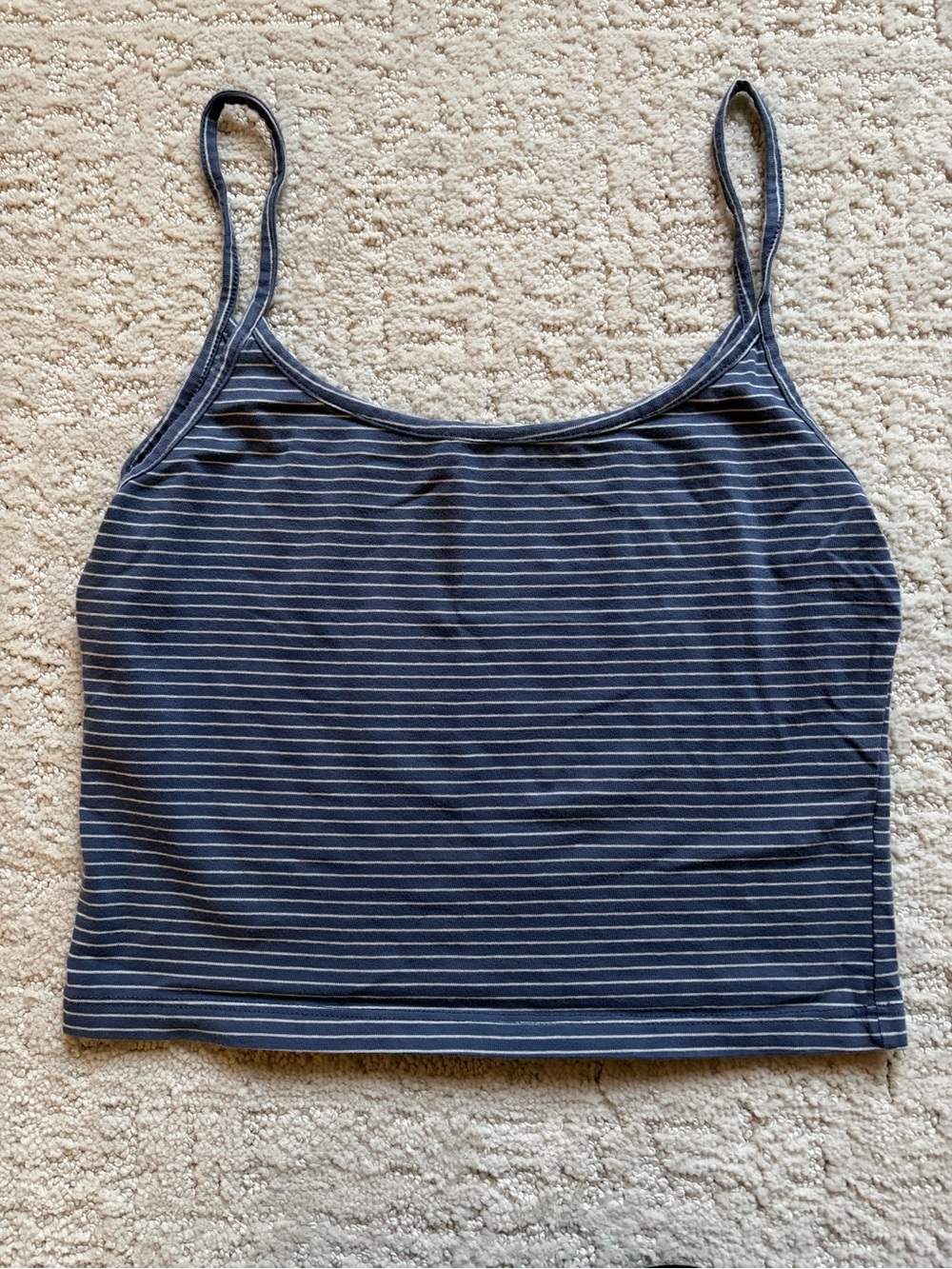 Brandy Melville Blue and White stripped crop tank
